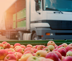 transporte de alimentos